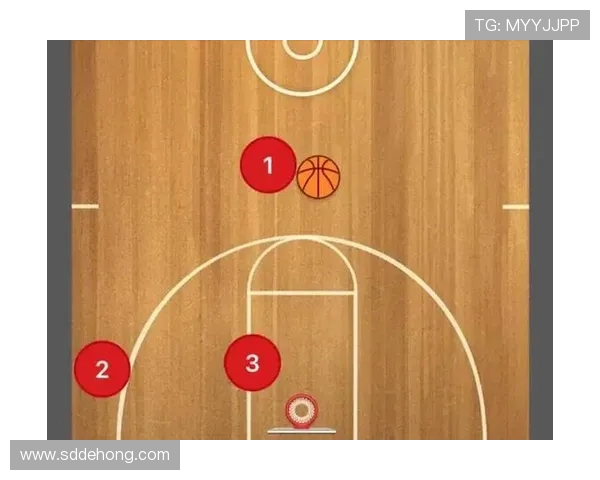 篮球技战术全面解析与球队管理策略研究