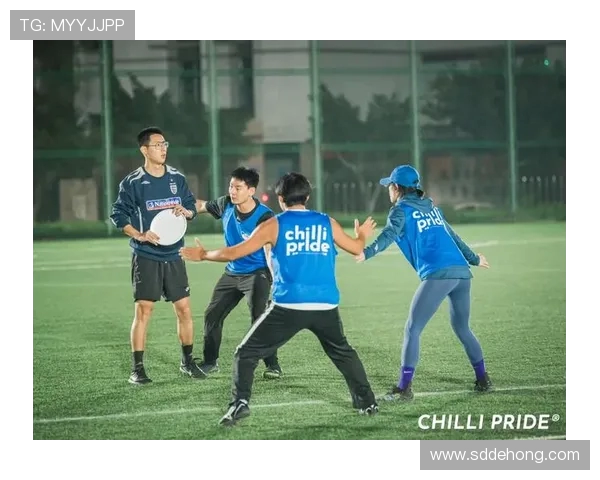 北京飞盘队区域防守新策略探索与实践分析