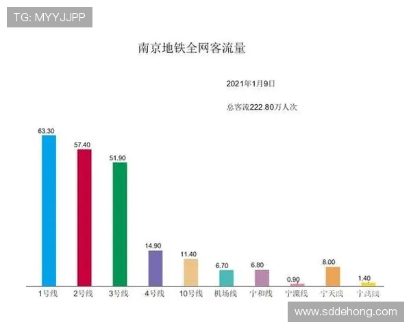 南京排球队个人能力分析与数据洞察探讨