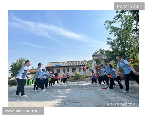 武汉飞盘队的崛起与发展探秘展现团队力量与精神风貌