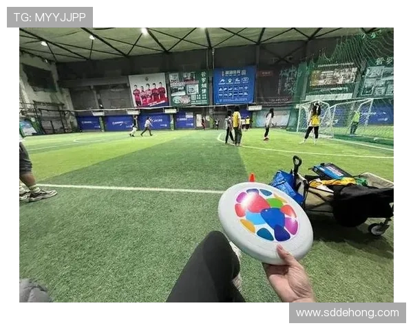 热议飞盘运动上海飞盘队的崛起与转型之路探讨